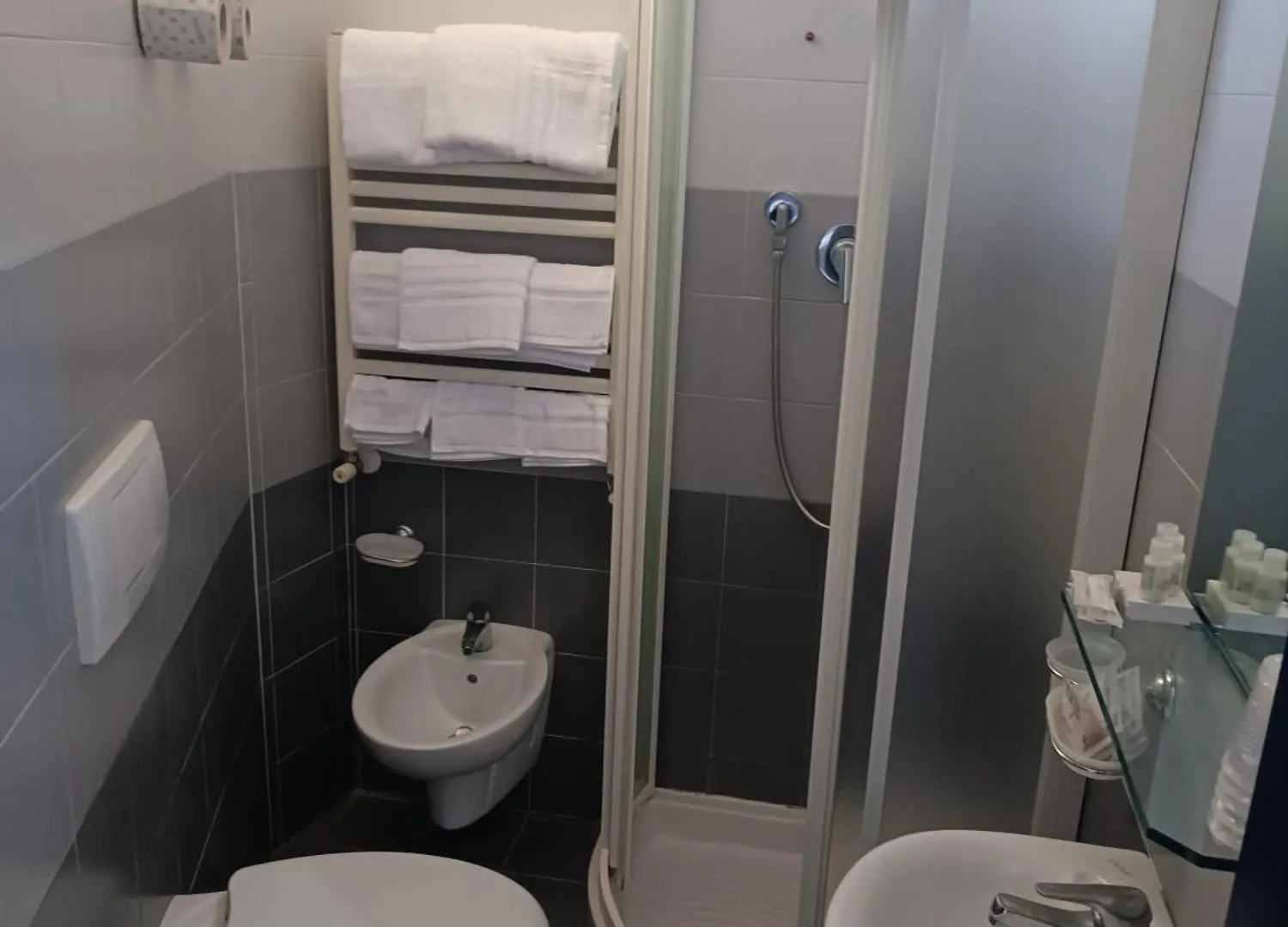 Rèmin Plaza Hotel Rimini