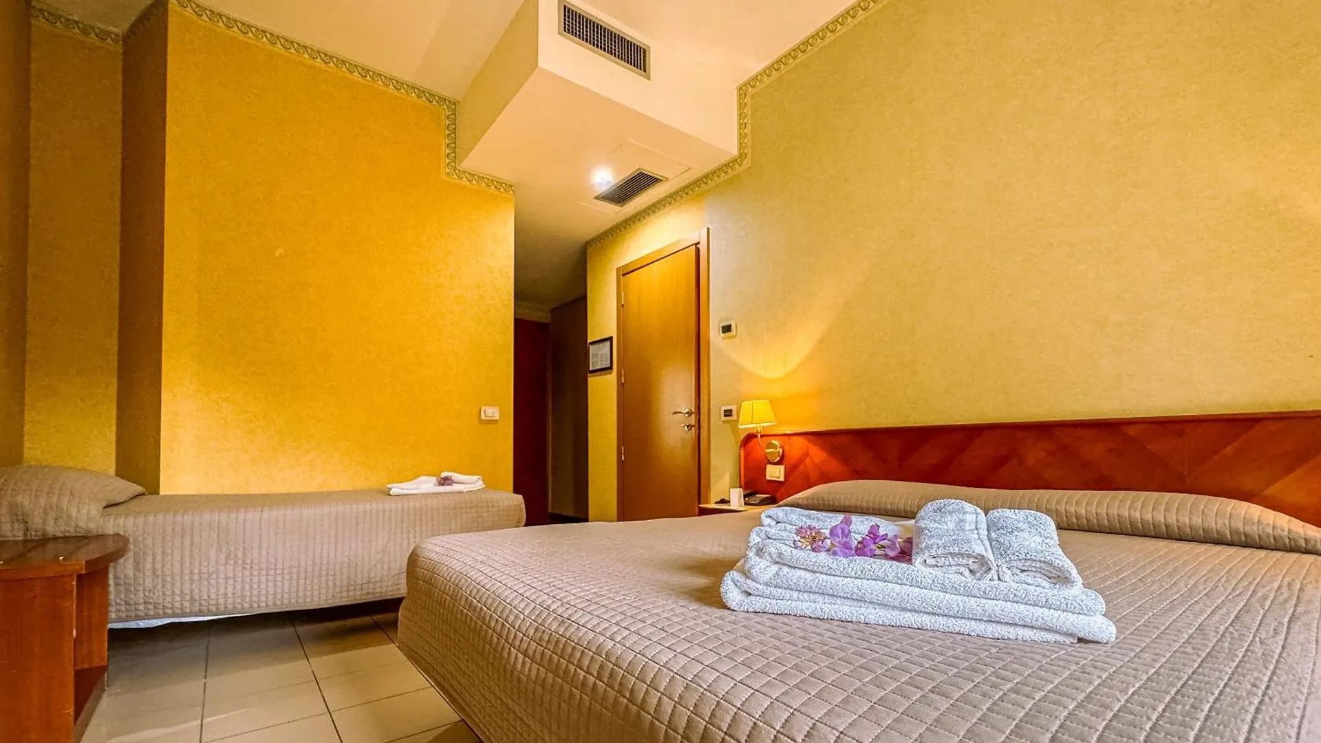 Rèmin Plaza Hotel Rimini