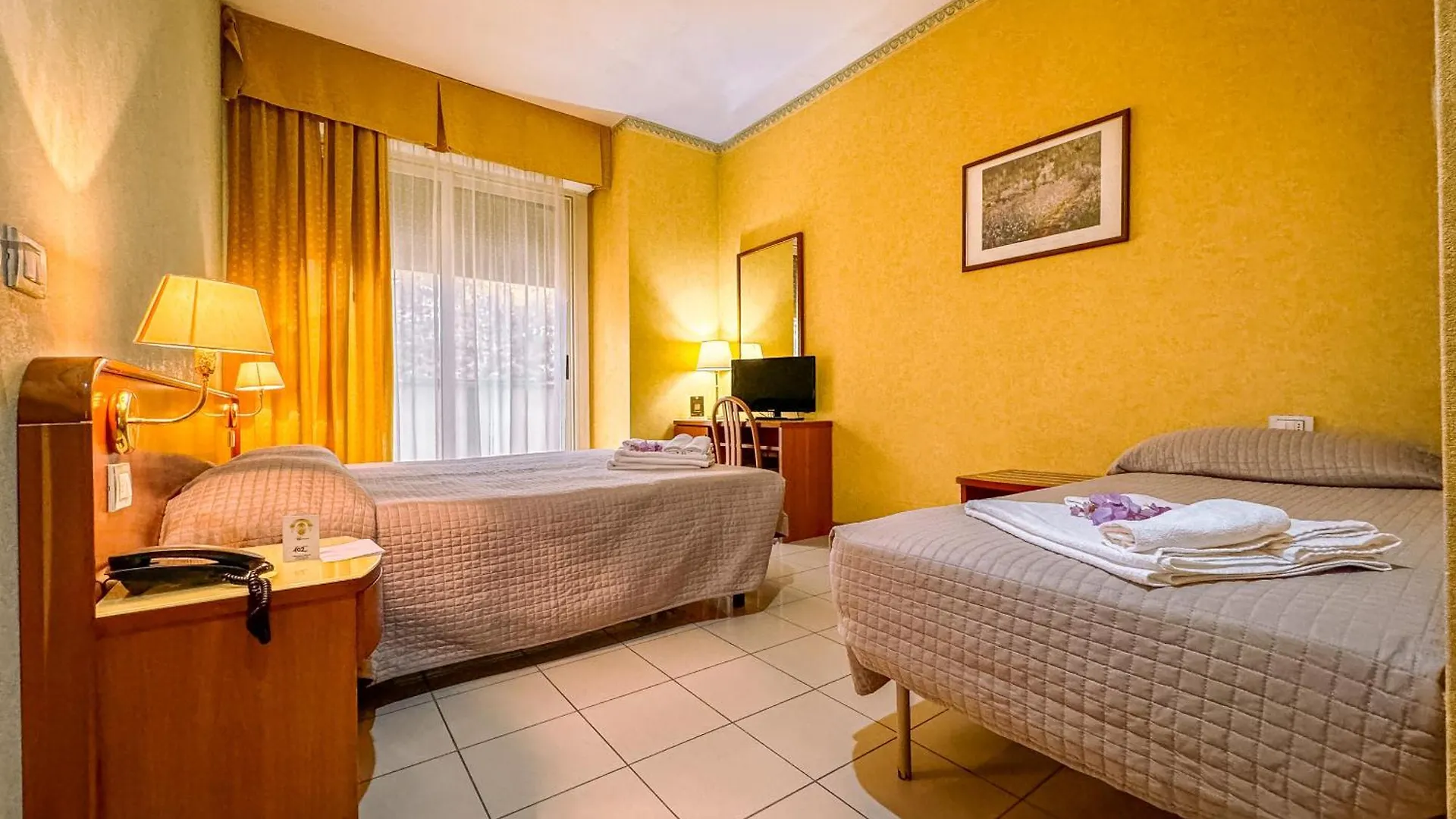 Rèmin Plaza Hotel Rimini