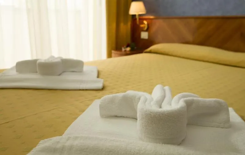 Rèmin Plaza Hotel Rimini