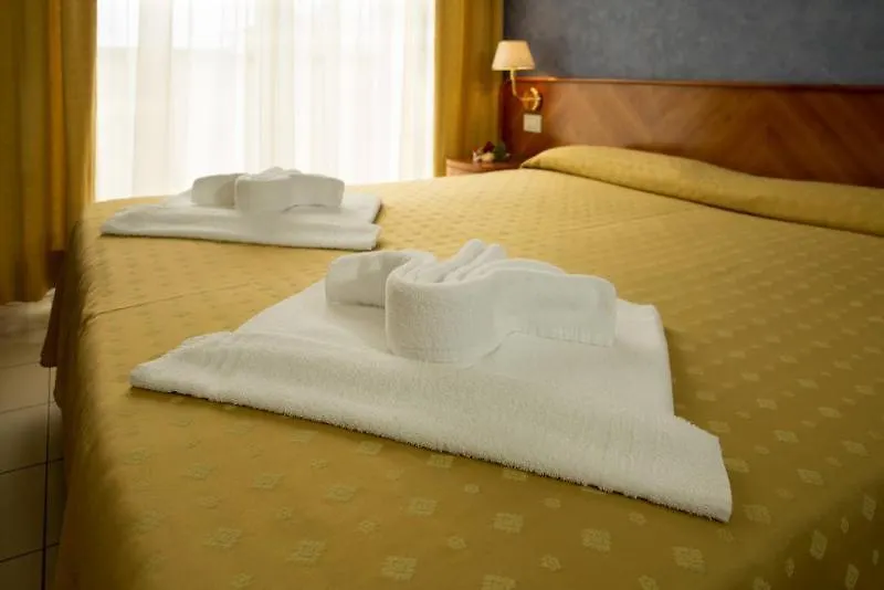 Hotel Remin Plaza Rimini Italy